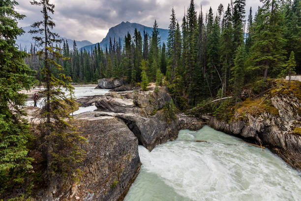 istock The National Parks of Canada 1154882320