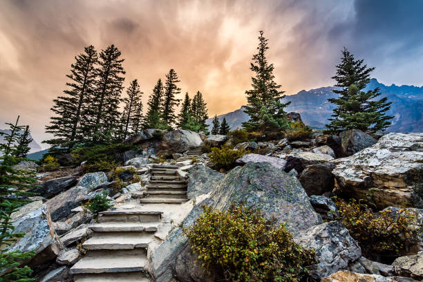 istock The National Parks of Canada 1154882373