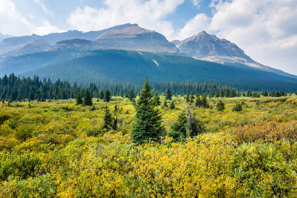 istock The National Parks of Canada 1154882509