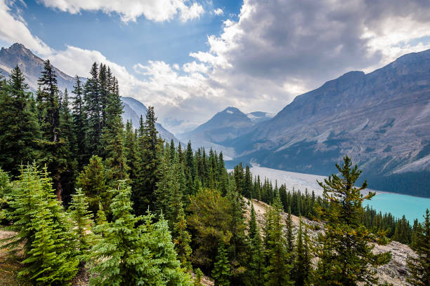 istock The National Parks of Canada 1154883232