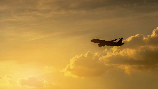 istock The silhouette of the passenger plane at sunset 1154883583