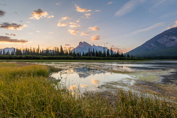 istock Banff National Park at Sunrise 1154884374