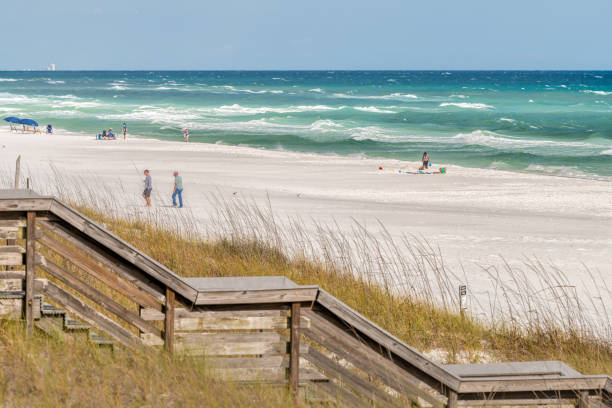 miramar beach city town in florida panhandle golfo dell'acqua dell'oceano messico, passerella in legno a dune di sabbia con persone che camminano sulla costa - sand beach sand dune sea oat grass foto e immagini stock