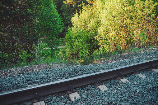 Railroad along trees. Railway on green vegetation background with copy space. Scenic backdrop with railway in forest among greenery. Sleepers and rails close up. Natural background with railroad.