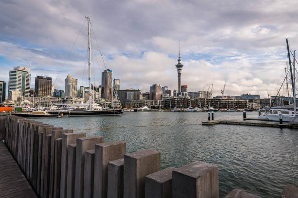 istock The Streets of Auckland 1154888667