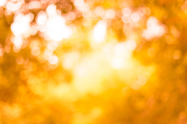 istock Blurred of Orange natural background 1154889008