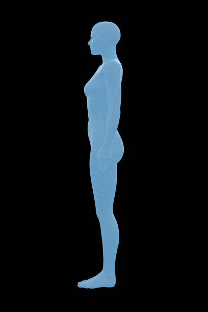 istock Human Body, Female, Woman 1154894603