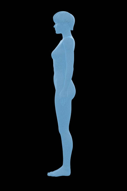 istock Human Body, Female, Woman 1154894654