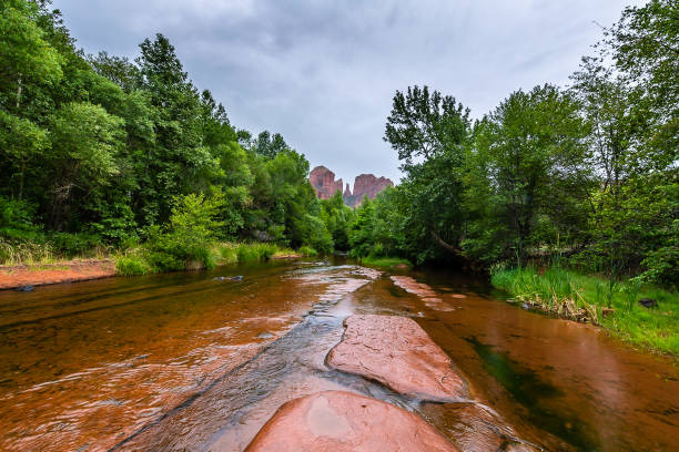 sedona - coconino national forest foto e immagini stock