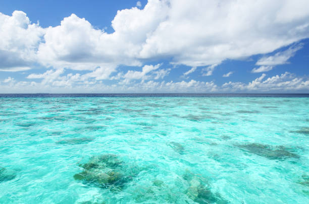 istock Tropical Lagoon and blue sky background 1154895124