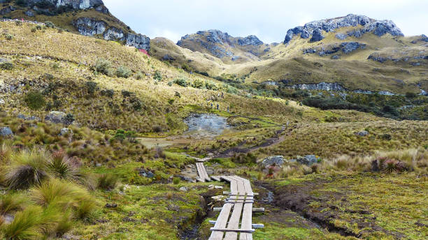 istock Touristic path in Andes highland, Ecuador 1154895837