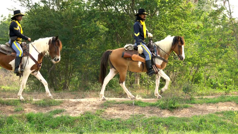 4K Cowboy Horseback Riding In The Field