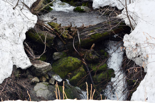 istock Mountains Landscape Nature Mountain Winter River 1154897878