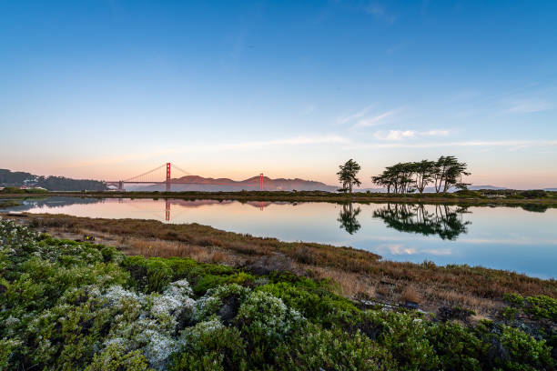 istock San Francisco, California 1154898031