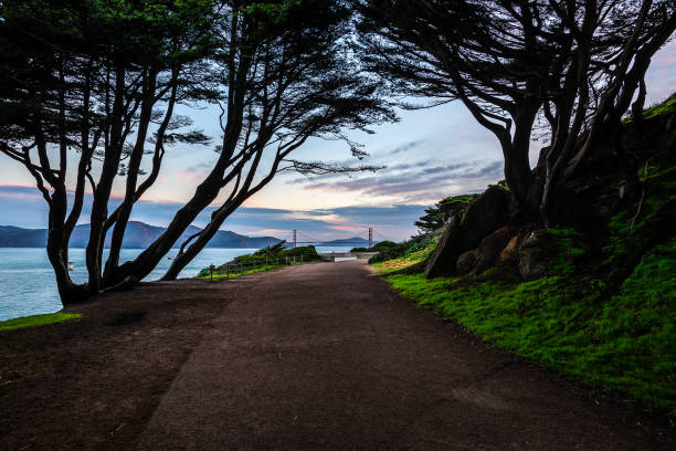 san francisco (kalifornia) - treasure island california zdjęcia i obrazy z banku zdjęć