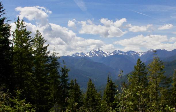 istock Mt. Constance In Olympic National Park 1154899935