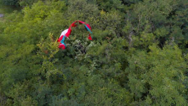 POV Paragliding pilot fallen down. Cross country pilot.