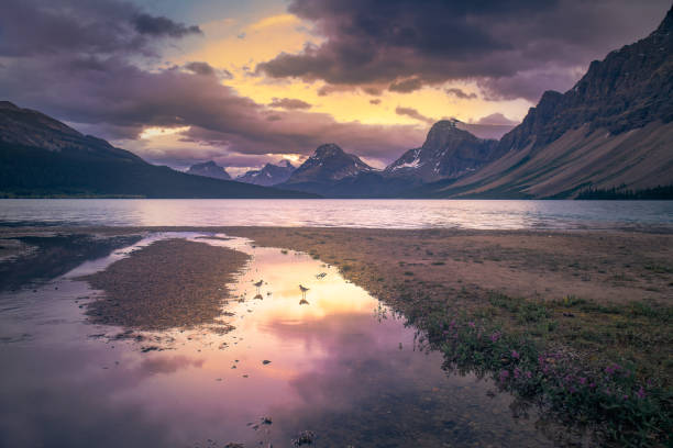 istock Bow Lake and a pair of  birds 1154900320