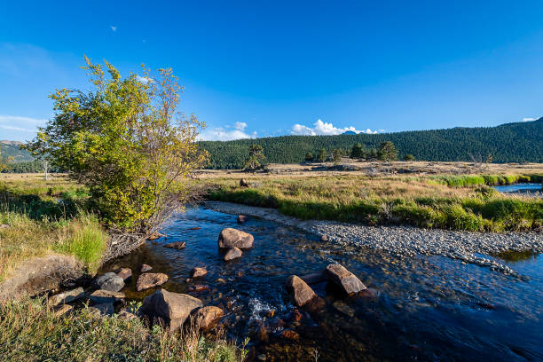 istock Rocky Mountain National Park 1154901126