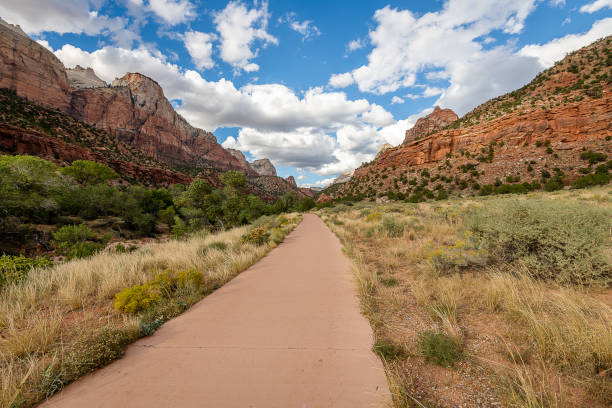 istock Zion National Park 1154901588