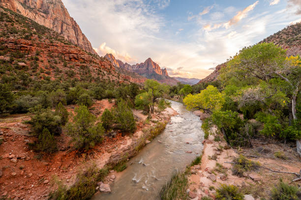 istock Zion National Park 1154902238