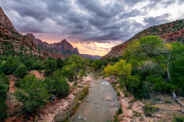 istock Zion National Park 1154902444