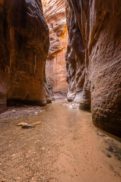 istock Zion National Park 1154902451