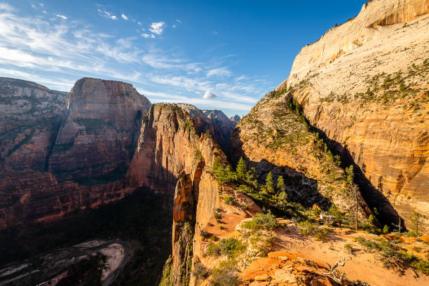 istock Zion National Park 1154902638