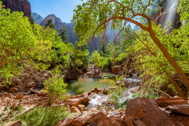 istock Zion National Park 1154902644