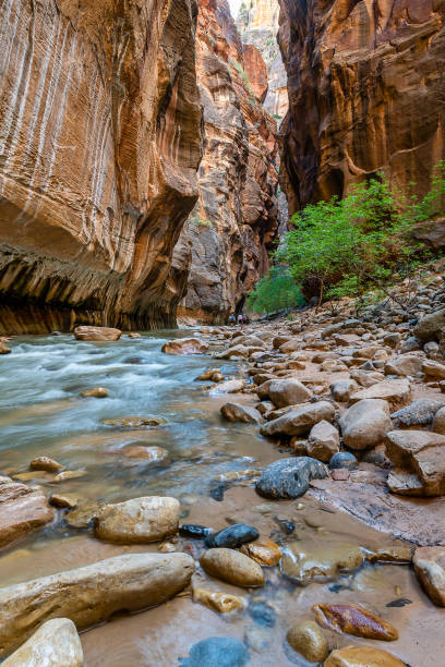 istock Zion National Park 1154902840