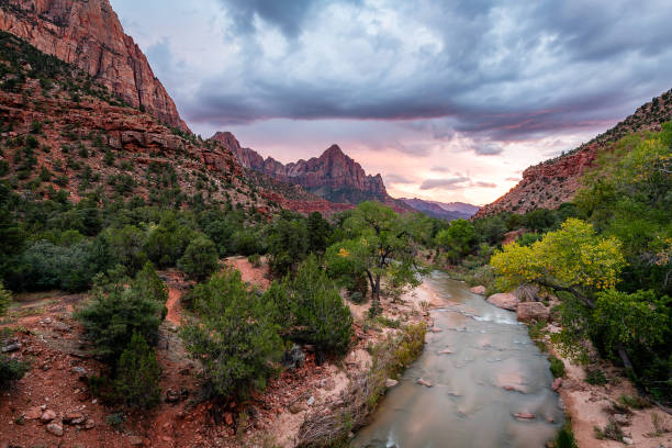 istock Zion National Park 1154902879