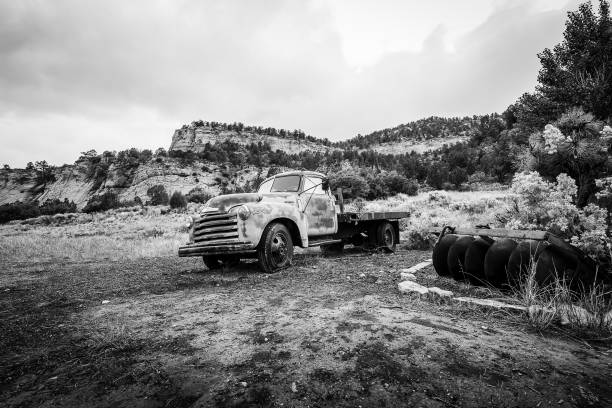 istock Zion National Park 1154902888