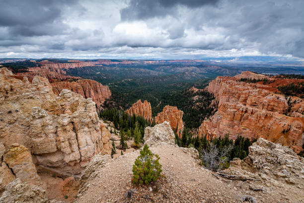istock Bryce Canyon National Park 1154905871