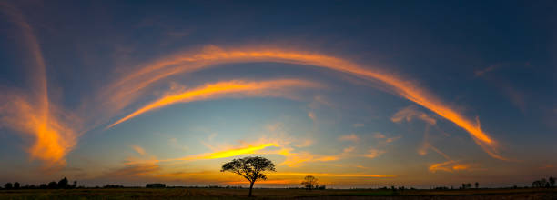 istock Panorama silhouette tree in africa with sunset.Tree silhouetted against a setting sun. 1154906018