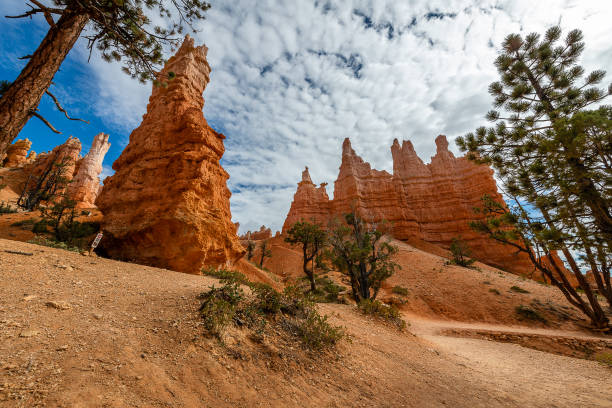Bryce Canyon National Park The stunningly beautiful geological features of Bryce Canyon and its vibrant hoodoos, fins, spires, pinnacles, and rock walls. sunrise point stock pictures, royalty-free photos & images