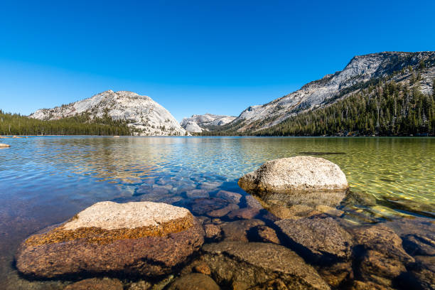 istock Yosemite National Park 1154908598