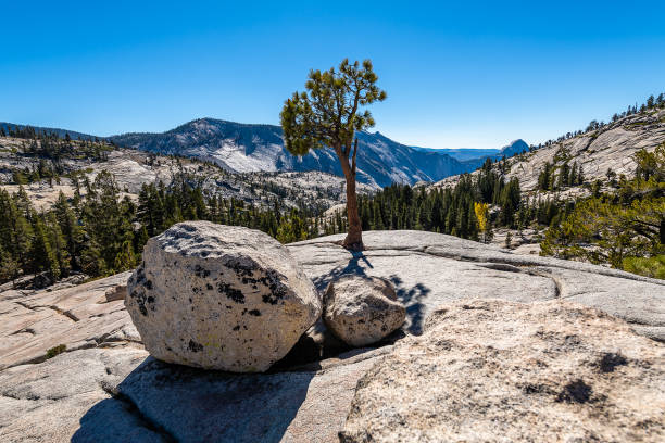 istock Yosemite National Park 1154908711