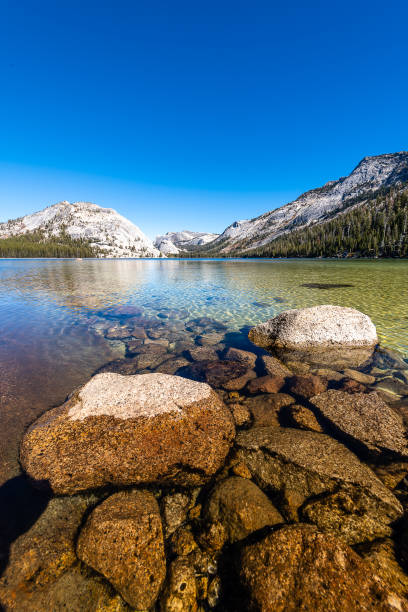 istock Yosemite National Park 1154909546