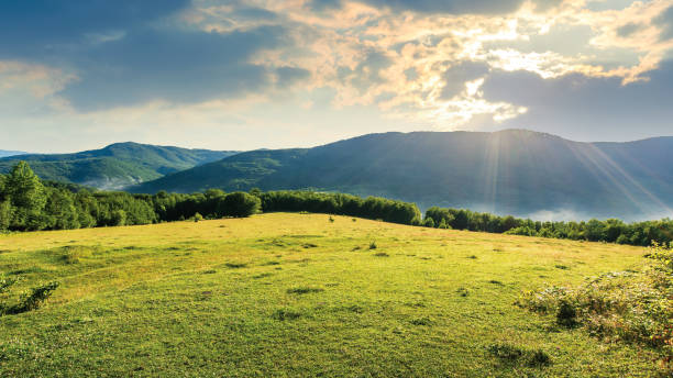 istock meadow on the hill among the forest 1154910032