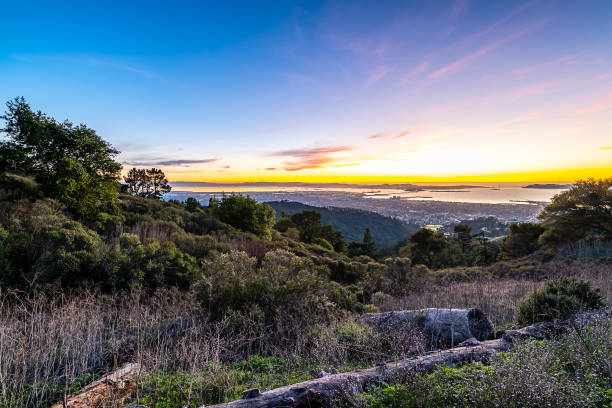 Sunset from Grizzly Peak A colorful sunset over the San Francisco Bay Area from Grizzly Peak in the Berkeley Hills. west marin stock pictures, royalty-free photos & images