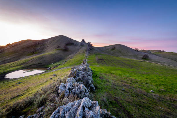 park stanowy mount diablo - mt diablo state park zdjęcia i obrazy z banku zdjęć