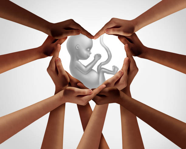 Protect New Life Protect new life as a group of people holding a newborn child 3D illustration style. abortion photos stock pictures, royalty-free photos & images