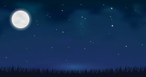 4,501 Star In The Grass Illustrations & Clip Art - iStock 4,501 Star In The Grass Illustrations & Clip Art - iStock
