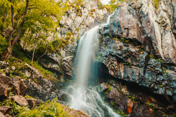 wasserfall im wald, bulgarische landschaft - waterfall rapid landscape woods stock-fotos und bilder