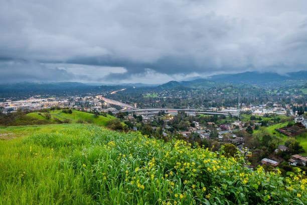 park stanowy mount diablo - mt diablo state park zdjęcia i obrazy z banku zdjęć