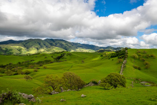 mount diablo state park - mt diablo state park fotografías e imágenes de stock