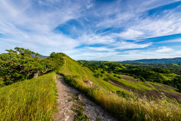 Mount Diablo State Park A view of Mount Diablo and the China Wall during a cloudy spring day in Walnut Creek, California contra costa county stock pictures, royalty-free photos & images