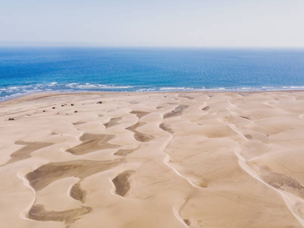 istock Sand dunes aerial view, Maspalomas, Canary islands 1154919254