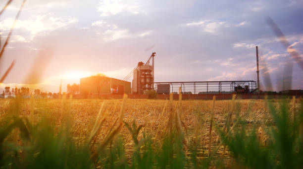 sunrise rice mill