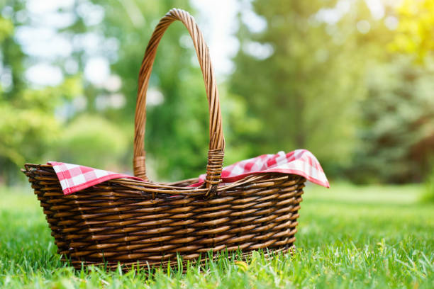 istock Empty picnic basket with red checkered napkin on the grass. 1154921965